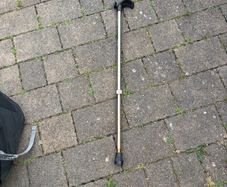 walking stick