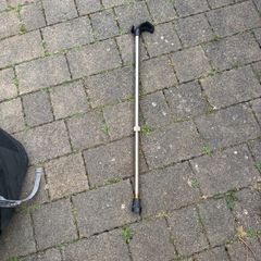 walking stick