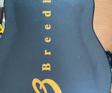 Breedlove solo semi acoustic Guitar