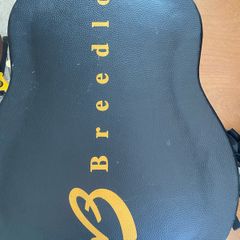 Breedlove solo semi acoustic Guitar