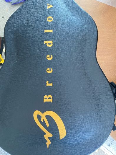 Breedlove solo semi acoustic Guitar