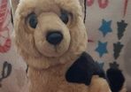 German shepherd ; plush dog (Pr 1779 ) 2