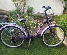 Girls  24" Bicycle/Ken Black Purple with stand and back carrier