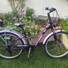 Girls  24" Bicycle/Ken Black Purple with stand and back carrier