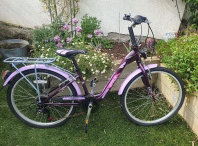 Girls  24" Bicycle/Ken Black Purple with stand and back carrier