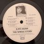 Kate Bush - The Whole Story. Greatest hits compilation. German 1st pressing in gatefold sleeve. With a promo and a hype sticker on the front. Exceptionally good condition. Bargain! Image 5