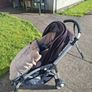 buggie Image 2