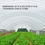 Greenhouse Film, Greenhouse Polyethylene Film 32x25 ft Greenhouse Plastic Image 5