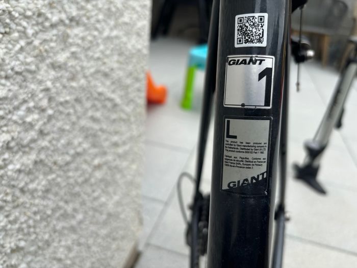 Giant Contend SL