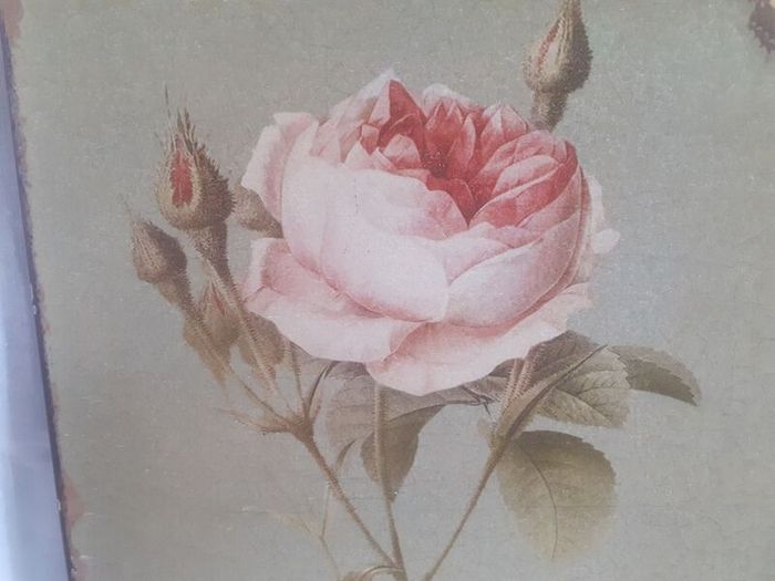 Vintage Enamel Rose Wall Plaque