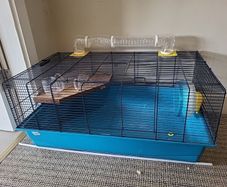 hamster cage