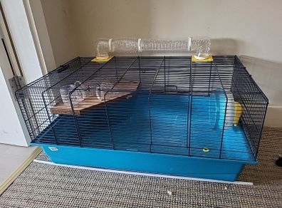 hamster cage