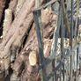 Metal Gates (Double Gate) in Kildare! Image 5