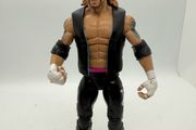 wwe elite series 36 DDP Diamond Dallas Page action figure