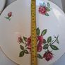 J and G Meakin rose Plates Image 6