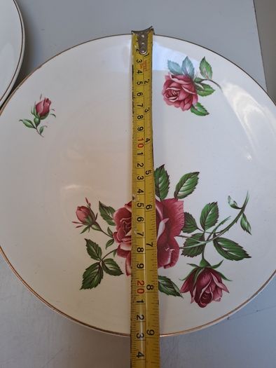 J and G Meakin rose Plates