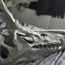 Spinosaurus Skull Image 2