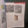 Oral Anatomy, Histology and Embryology Image 5
