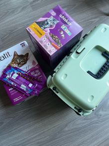 Kitten bundle