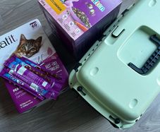 Kitten bundle