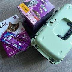 Kitten bundle
