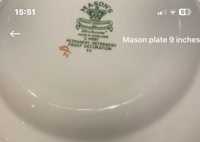 Vintage Masons strathmore green 9 inch plate
