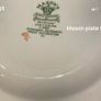 Vintage Masons strathmore green 9 inch plate Image 7