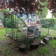 Hen cage