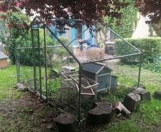 Hen cage