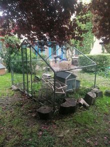 Hen cage