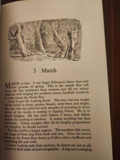 A Forest By Night. By Fred J. Spackman (authir Of A Poachers Tale). First Editions 1965 Hardback With Dustjacket In Good Condition  37.