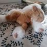 Poney Plush Soft Toy Image 5