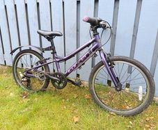 Carrera Saruna Junior Bike 20 inch