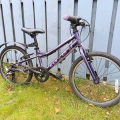 Carrera Saruna Junior Bike 20 inch
