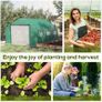 Walk-in Polytunnel Garden Greenhouse, Outdoor Mesh Door Greenhouse with PE Cover and 6 Windows, 3.5 x 3 x 2m, Green (FREE SHIPPING) Image 8