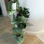 Vintage wooden plant stand Image 4