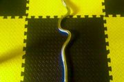 Ez curl bar
