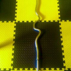 Ez curl bar