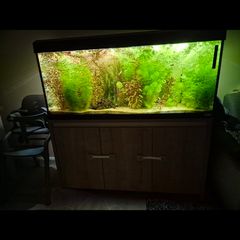 fish tank fluval roma 240l