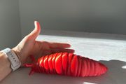 Large articulated Slug