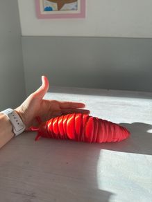 Large articulated Slug