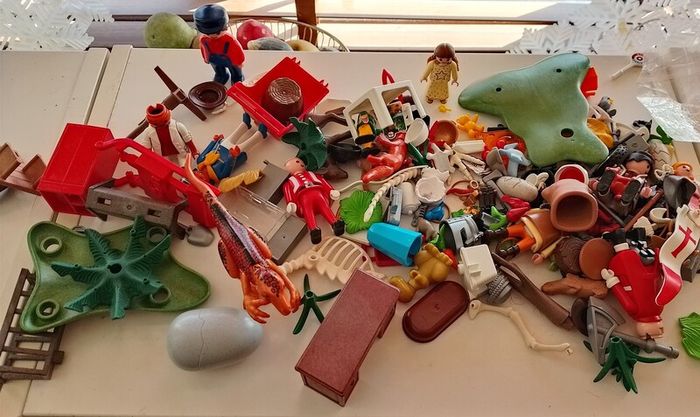 Playmobil Carry Case Bundle - Figures, Animals, Vehicles & Scenery