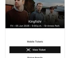 Kingfisher ticket for sale