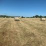 Round bales of hay (No fert, sprays or slurry ) Image 7
