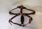 Dog harness