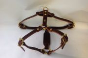 Dog harness