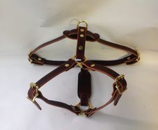 Dog harness