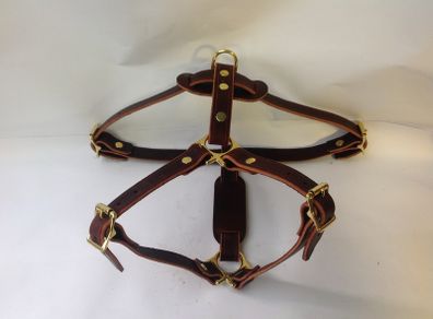 Dog harness