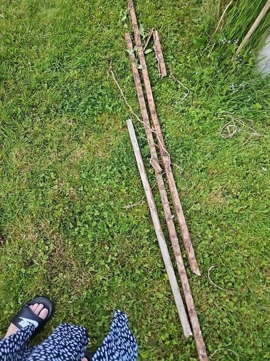 Old wood fence