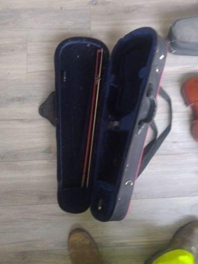 violin